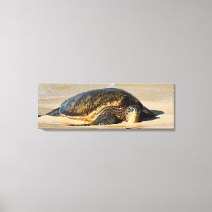 Hawaiiaans Zee schilderschilderschilderschilderij Canvas Afdruk