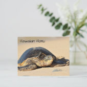 Hawaiiaans Zee Turtle Briefkaart (Staand voorkant)