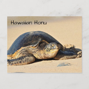 Hawaiiaans Zee Turtle Briefkaart