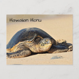 Hawaiiaans Zee Turtle Briefkaart