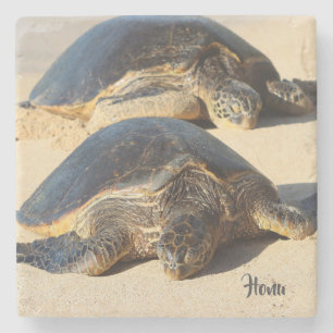 Hawaiiaans Zee Turtle Onderzetter