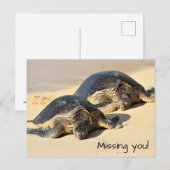 Hawaiiaans Zee Turtles Briefkaart (Voorkant / Achterkant)