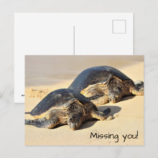 Hawaiiaans Zee Turtles Briefkaart (Voorkant / Achterkant)