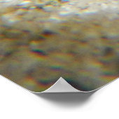 Hawaiiaans Zee Urchin Poster (Hoek)