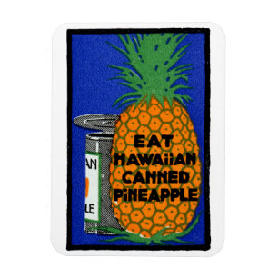 Hawaiiaanse ananas Magneet