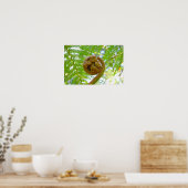 Hawaiiaanse Boomvarenblad Ontwikkelt Poster (Keuken)