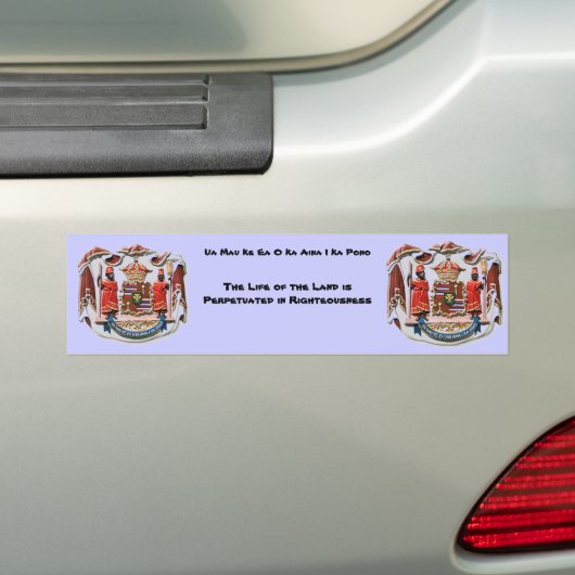 Hawaiiaanse Bumpersticker (Op auto)