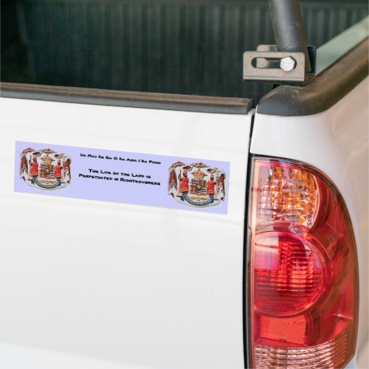 Hawaiiaanse Bumpersticker (Op Truck)