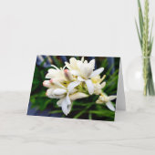 Hawaiiaanse Cluster Tuberose Kaart (Voorkant)