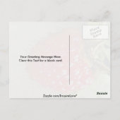 Hawaiiaanse frambozen (Rubus hawaiiensis) Briefkaart (Achterkant)