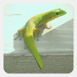 Hawaiiaanse gekko stickers
