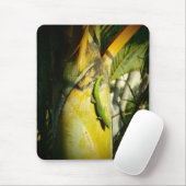 Hawaiiaanse gekko tropische mousepad muismat (Met muis)