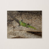 Hawaiiaanse gekko tropische puzzel (Horizontaal)