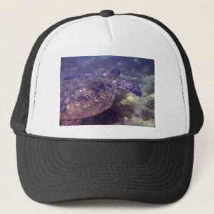 Hawaiiaanse groene zeeen schildpadden trucker pet