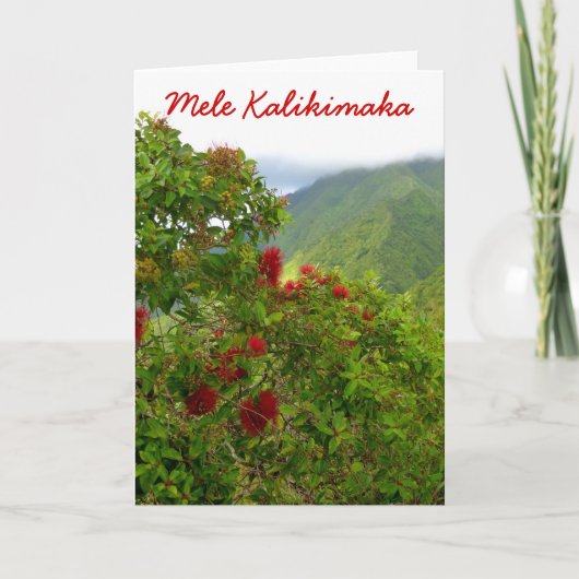 Hawaiiaanse kerst feestdagen kaart (Voorkant)