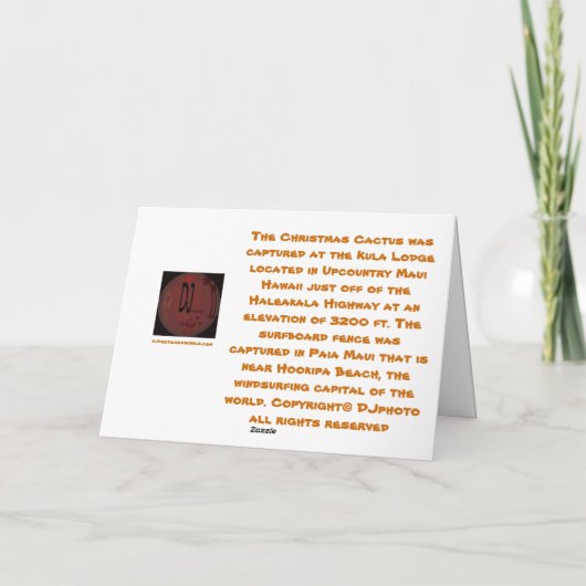 Hawaiiaanse Kerstkaart Feestdagen Kaart (Achterkant)