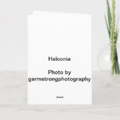 Hawaiiaanse Kerstkaarten Feestdagen Kaart (Achterkant)