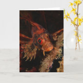 Hawaiiaanse Lionfish Kaart (Gele Bloem)