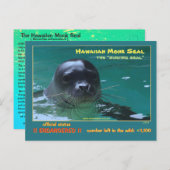 Hawaiiaanse monniksrobben dreigen uit te sterven = briefkaart (Voorkant / Achterkant)