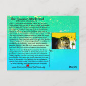 Hawaiiaanse monniksrobben dreigen uit te sterven = briefkaart (Achterkant)