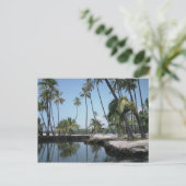 Hawaiiaanse Oase Briefkaart (Staand voorkant)