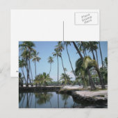 Hawaiiaanse Oase Briefkaart (Voorkant / Achterkant)