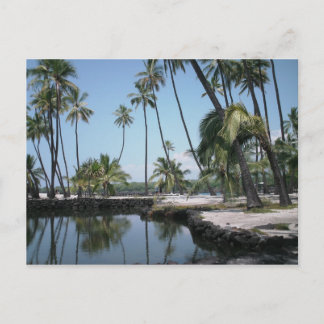 Hawaiiaanse Oase Briefkaart