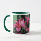 Hawaiiaanse Orchidee & Mokken Plumeria (Links)