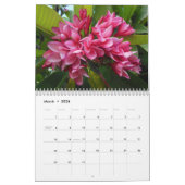 Hawaiiaanse Plumerias Kalender (Mar 2026)