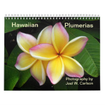 Hawaiiaanse Plumerias