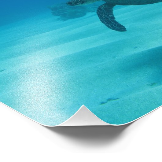 Hawaiiaanse schildpad foto afdruk (Hoek)