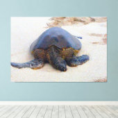 Hawaiiaanse schildpad op het strand canvas afdruk (Insitu (Houten vloer))