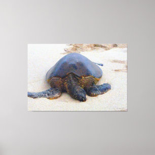 Hawaiiaanse schildpad op het strand canvas afdruk
