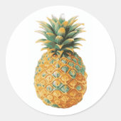 Hawaiiaanse tropische ananas ronde sticker (Voorkant)