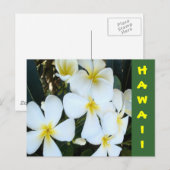 Hawaiiaanse tropische bloemen briefkaart (Voorkant / Achterkant)