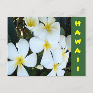 Hawaiiaanse tropische bloemen briefkaart