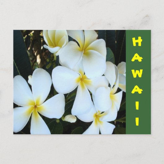Hawaiiaanse tropische bloemen briefkaart (Voorkant)