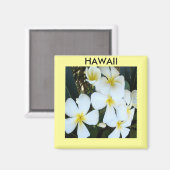 Hawaiiaanse tropische bloemen magneet (Voorkant / Achterkant)