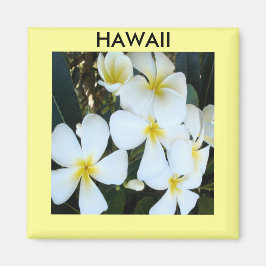 Hawaiiaanse tropische bloemen magneet