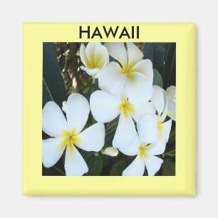 Hawaiiaanse tropische bloemen magneet