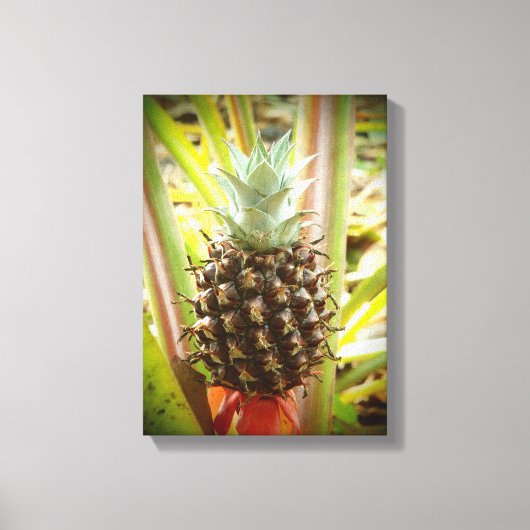 Hawaiiaanse vers geteelde ananas canvas kunstwerk afdruk (Voorkant)