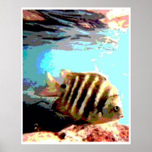Hawaiiaanse vis poster