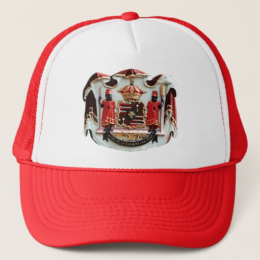 Hawaiiaanse wapenlaag trucker pet (Voorkant)