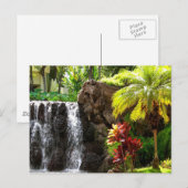 Hawaiiaanse watervallen briefkaart (Voorkant / Achterkant)