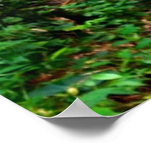 Hawaiiaanse watervallen poster (Hoek)