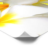 Hawaiiaanse witte reuzenbloem geel poster (Hoek)
