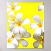 Hawaiiaanse witte reuzenbloem geel poster (Voorkant)