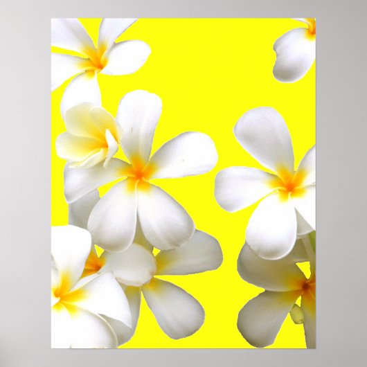 Hawaiiaanse witte reuzenbloem geel poster (Voorkant)