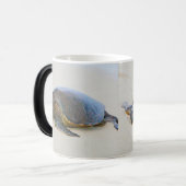 Hawaiiaanse Zee schildpad Magische Mok (Voorkant links)