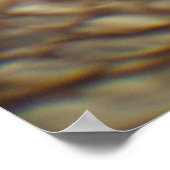 Hawaiiaanse Zee schildpad Poster (Hoek)